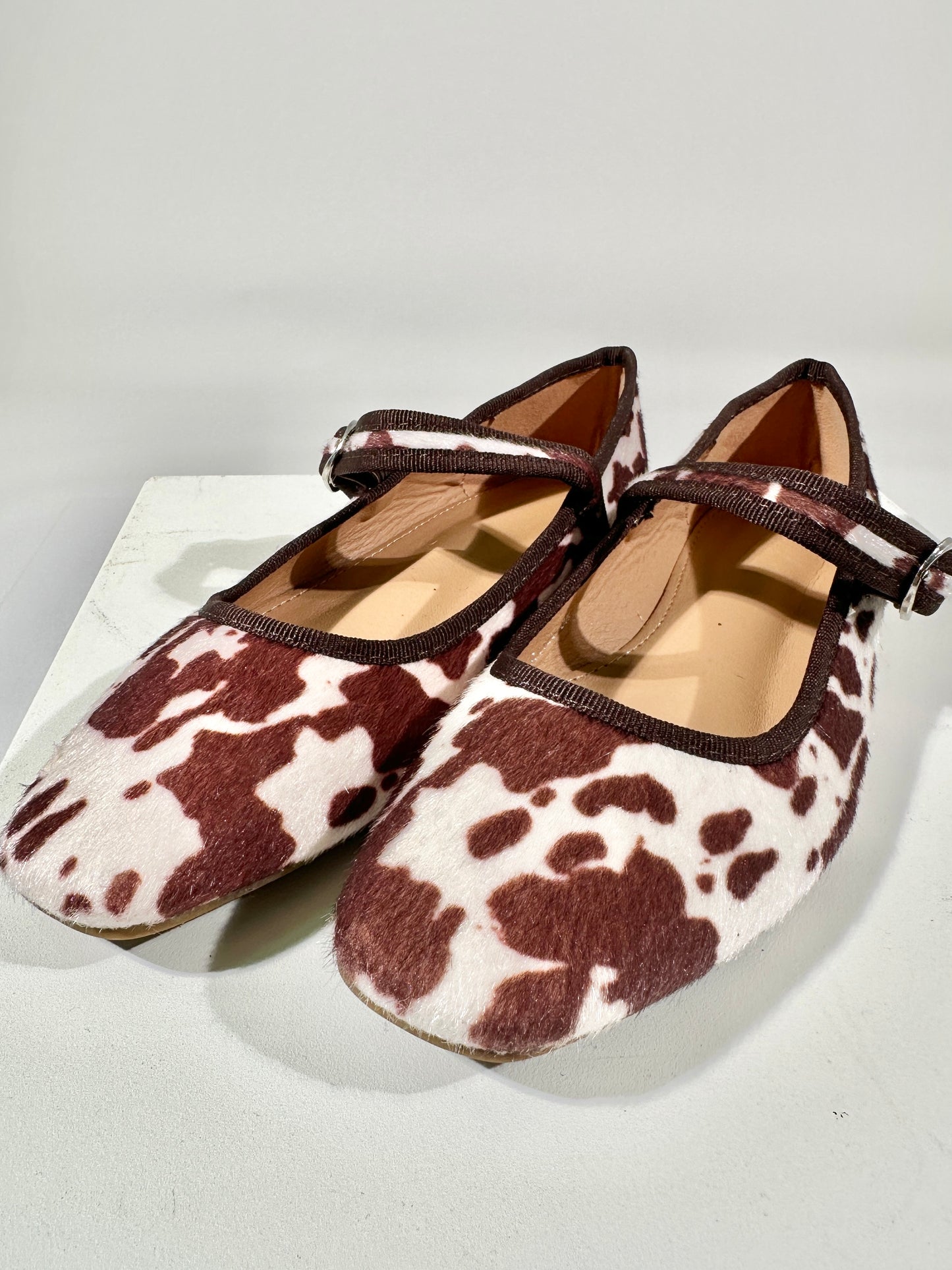 Wilma mucca